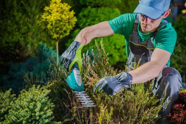 landscaping services Massac
